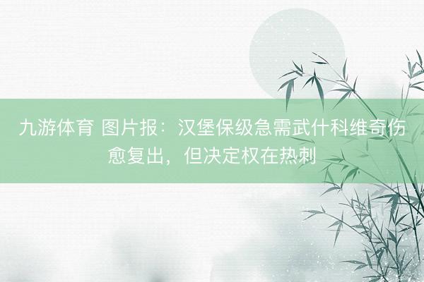 九游体育 图片报：汉堡保级急需武什科维奇伤愈复出，但决定权在热刺