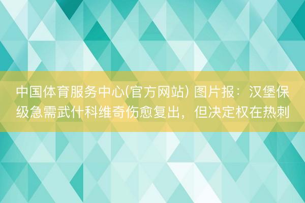 中国体育服务中心(官方网站) 图片报：汉堡保级急需武什科维奇伤愈复出，但决定权在热刺