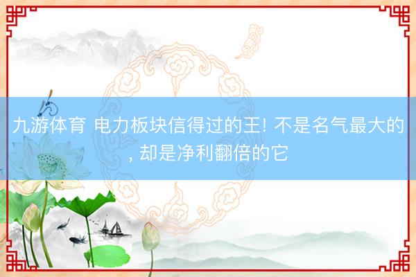 九游体育 电力板块信得过的王! 不是名气最大的， 却是净利翻倍的它