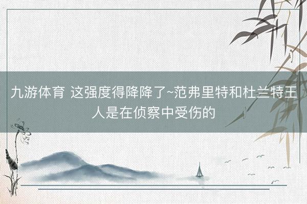 九游体育 这强度得降降了~范弗里特和杜兰特王人是在侦察中受伤的