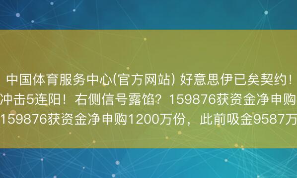 中国体育服务中心(官方网站) 好意思伊已矣契约！有色ETF大涨3.7%，冲击5连阳！右侧信号露馅？159876获资金净申购1200万份，此前吸金9587万元