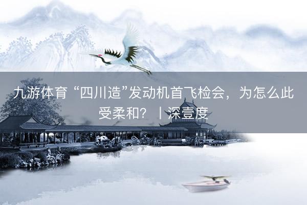 九游体育 “四川造”发动机首飞检会，为怎么此受柔和？丨深壹度